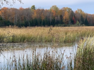 917 Acres